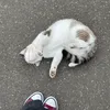 nnkaty0