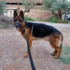 panagiotisalexopoulos