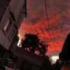 paolatrujillo11