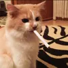 cannibal_tema