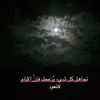 user88975844