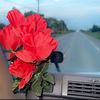 navu_kahlon06