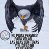 davidsalomoncana