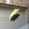 depressedtacoshell