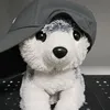 dogemelon