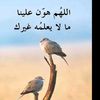 leeali282
