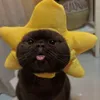 origxjewwnltts