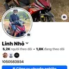 linhhaypha2