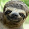 yoclur