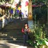 alvinprayitna0
