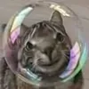 stefaniespallek