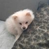 margo97375