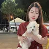 mydiem088