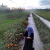 wahyuarvansah