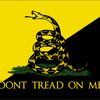 libertarianchik