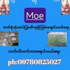 user7638532800202