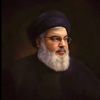 shirazsh84
