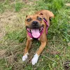 mademoisellenala.staffie