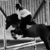 _.mari._equestrian
