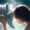 user795820117