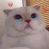 beyeuanh54