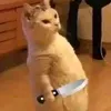 pswspwspwspws