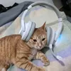fanculopezzidimerda