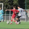 noahvuillemin