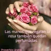 sanaamoussa2