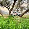 fhada_39