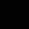 ionel_rsk