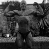 randysteppa88