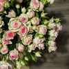 zooz_436