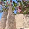 travelazerbaijann