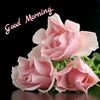 fatemaahmed028