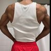 swoleintelligents