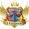 threegallerocrowns