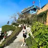 linh_chi1994