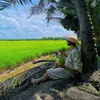 guppylongkhanh