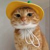 in.ttan_