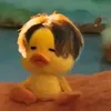 _aicake