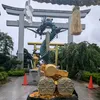 kyoryu.fight