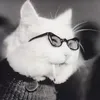 cinnamon_toast_c.nt