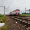 spotter_54