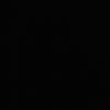 werko1613