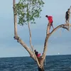 ikbalgk2