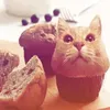 olegtyan1pivnoe_dango1