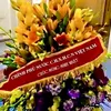 hoanghoanghoang16