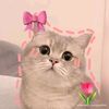 wafirah_firzanah2
