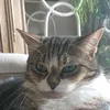 kim_87916
